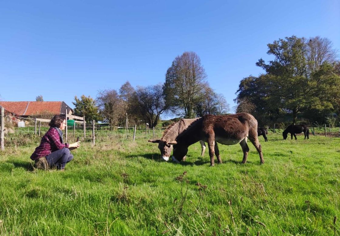 Communiquer sans dominer : les clés de la communication humain-animal